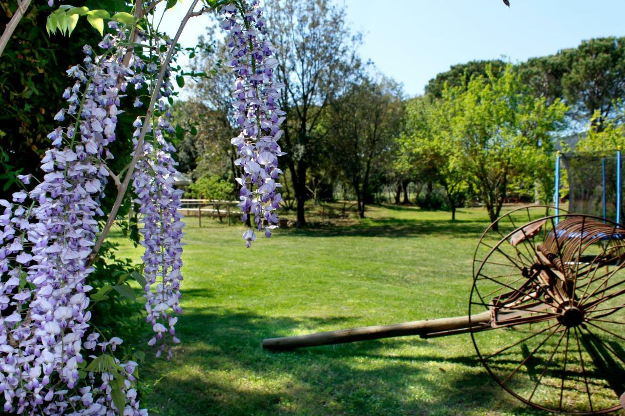 Agriturist Prile Vila Castiglione della Pescaia Exterior foto